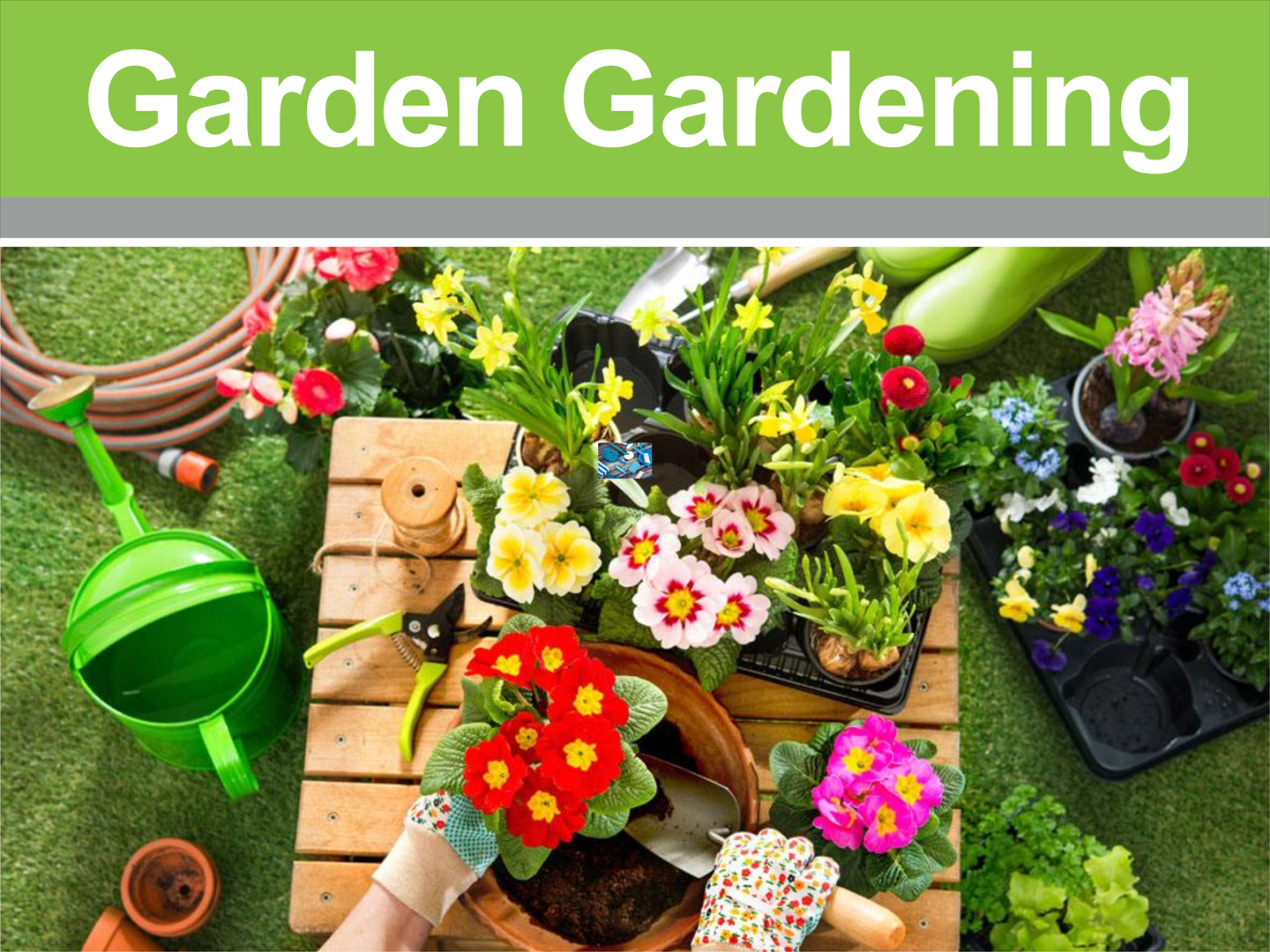 Garden Gardening