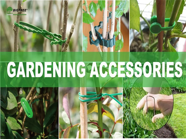 Garden-Accessories