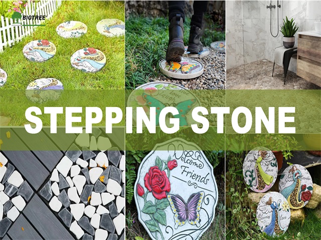 Garden-Stepping Stone