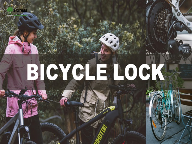 Bicycle Lock