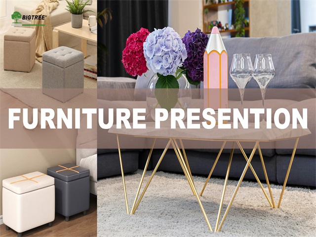 Home-Furnitures presention