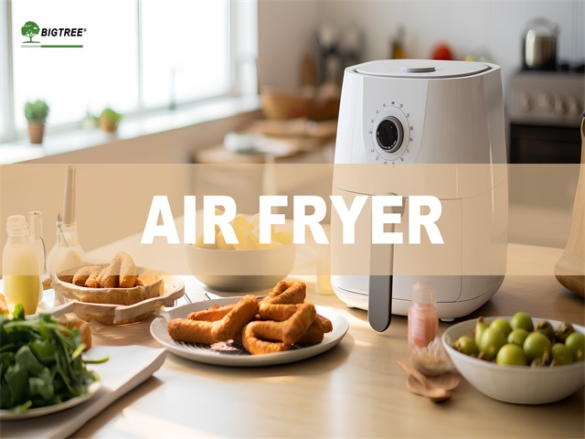 Home-Proposal of AIR FRYER